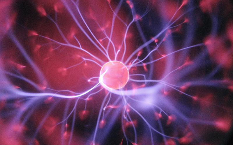 Glioma Stem-Like Cells Can Be Targeted in BoronNeutron Capture Therapy with Boronophenylalanine