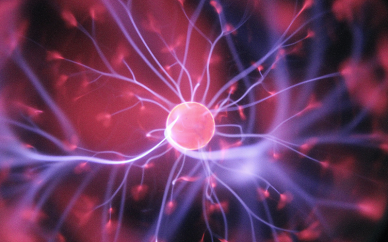 Glioma Stem-Like Cells Can Be Targeted in BoronNeutron Capture Therapy with Boronophenylalanine